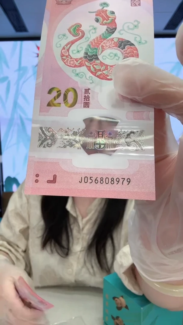 塑料蛇钞056808979