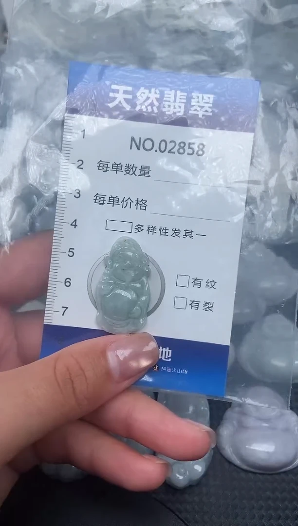 颈饰未镶嵌翡翠纯天然A货翡翠2858