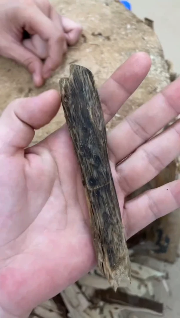 沉香沉香碎屑棋楠沉香 原料文创1