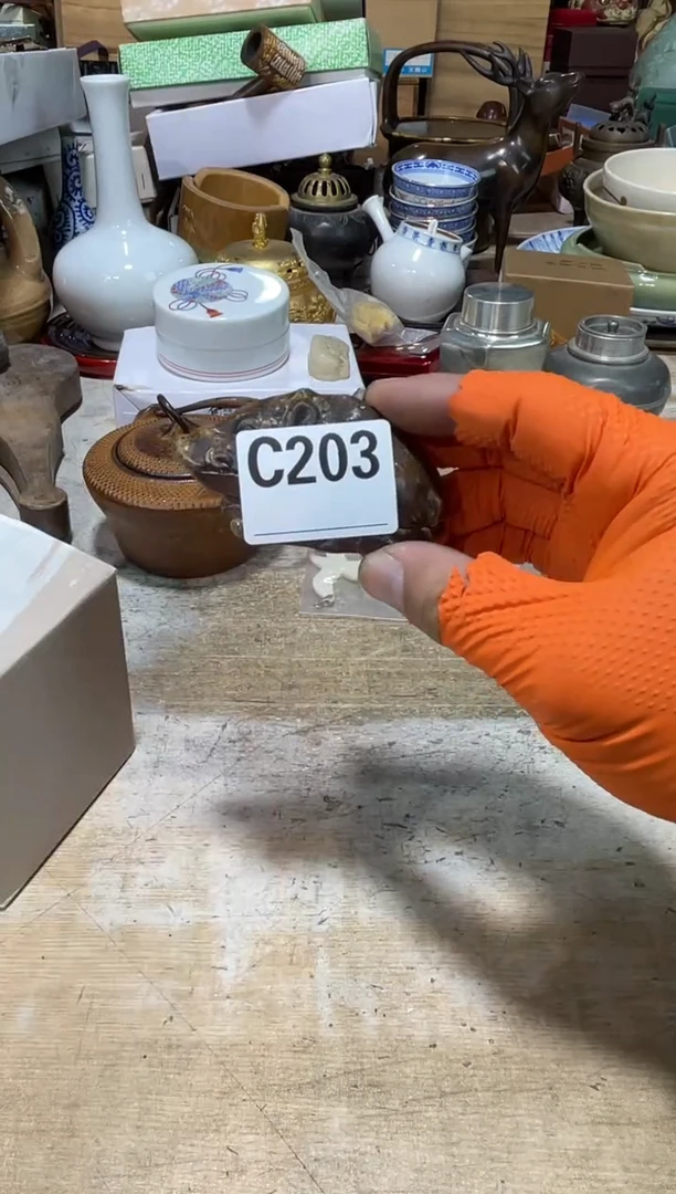 直播定闪专用链接8888青*定闪专用链接88888