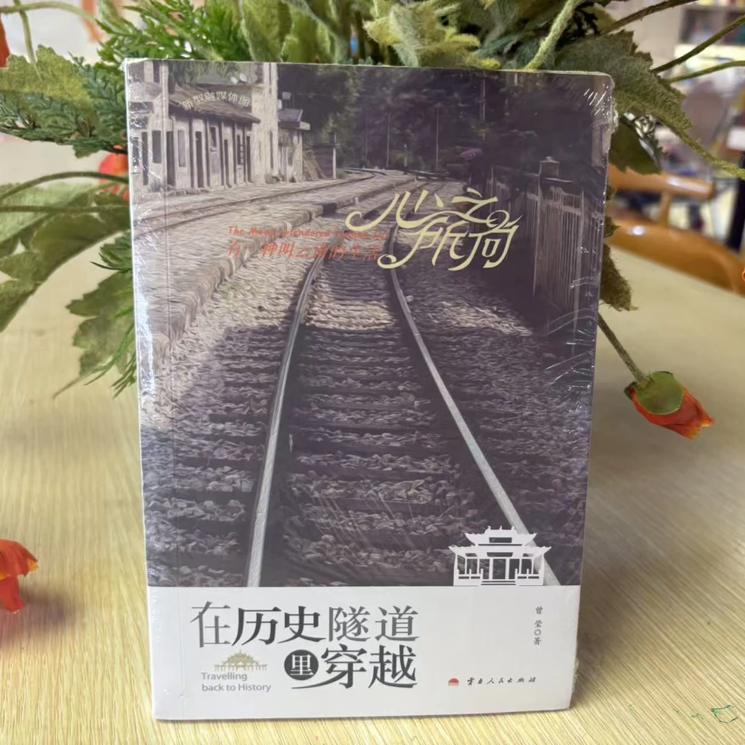 [德宏新华01]在历史隧道里穿越