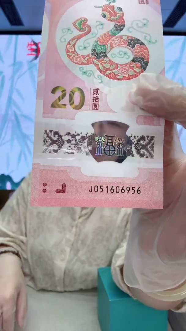 塑料蛇钞051606956