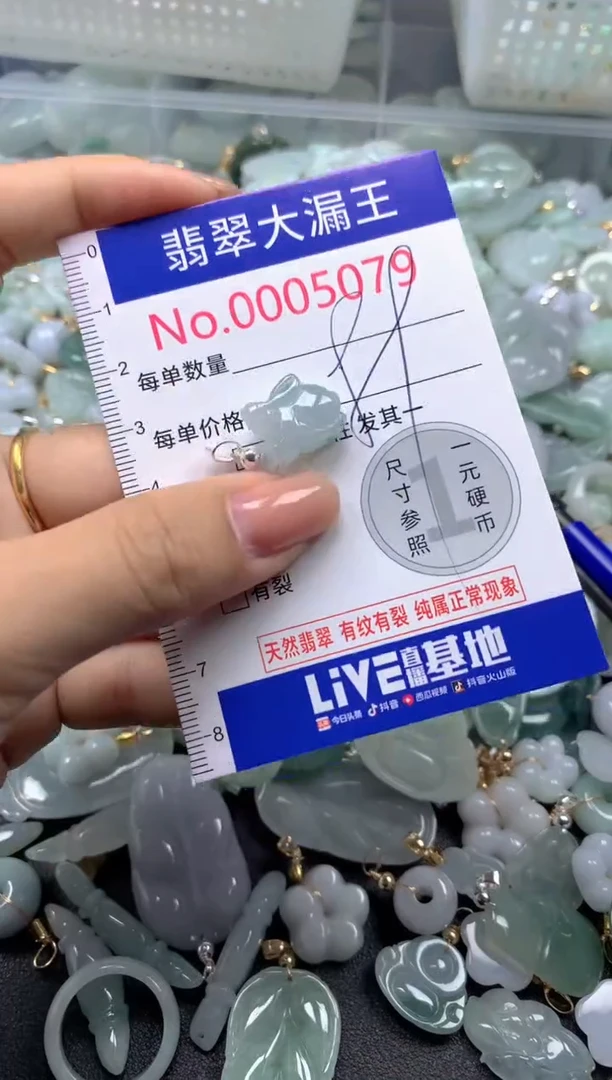 颈饰未镶嵌翡翠5079