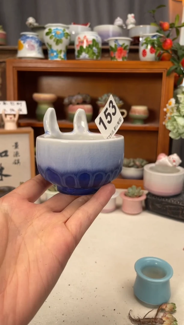 瓷片153知木小芳花盆