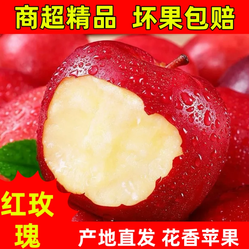 【新果】新鲜应季红玫瑰苹果脆甜多汁孕妇红玫瑰新鲜水果整箱批发