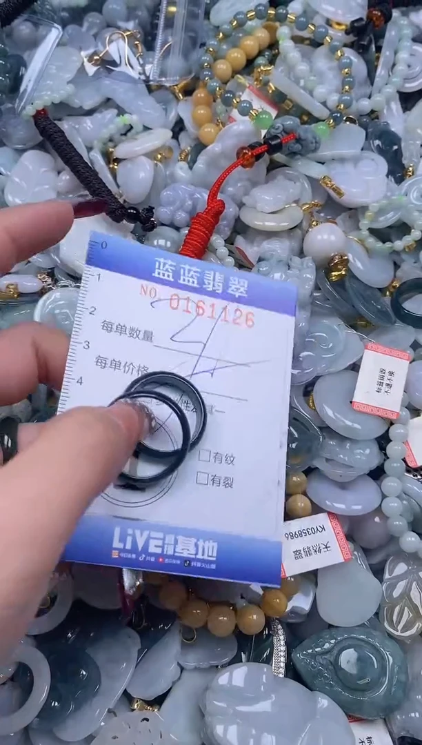 【闪购商品】翡翠颈饰未镶嵌闪购0161126多样性发其一