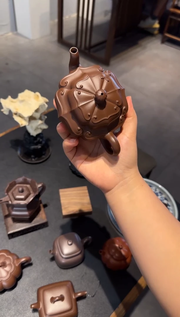 茶壶紫砂୧**?向阳而生
