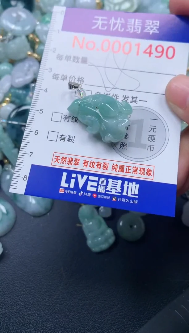 颈饰未镶嵌翡翠1490