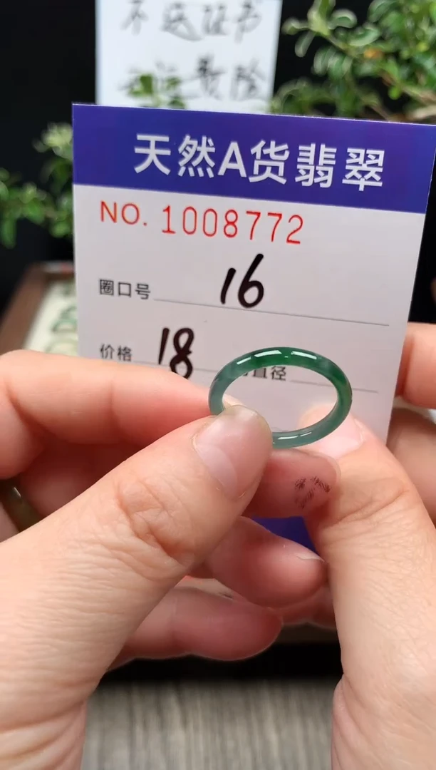未镶嵌戒指翡翠16#