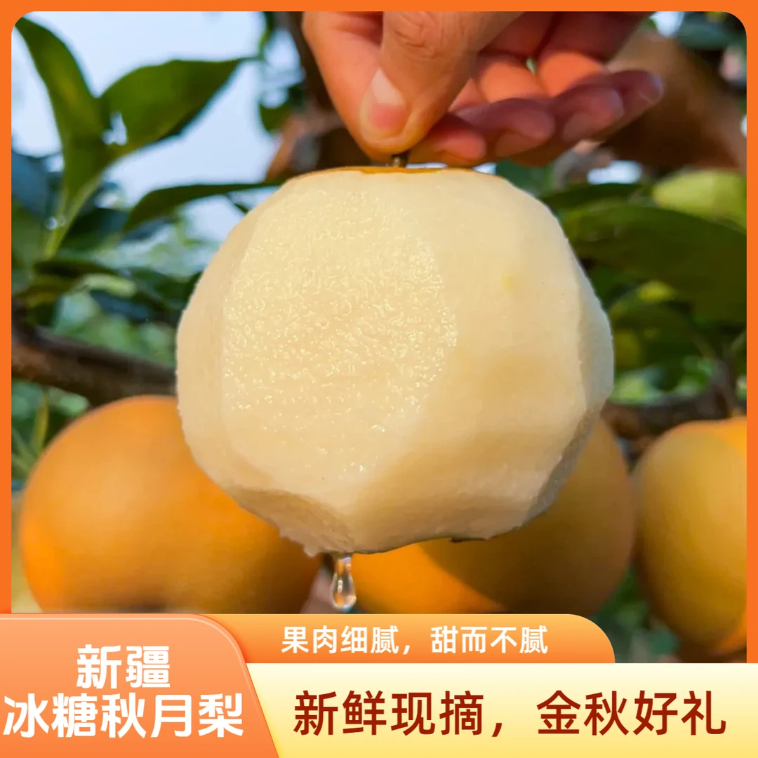 新疆大漠如意冰糖秋月梨脆甜多汁新鲜应季水果中秋礼箱顺丰包邮