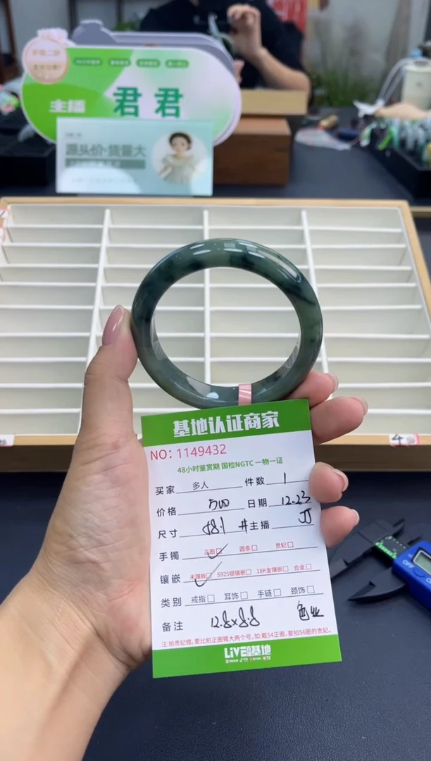 未镶嵌手镯翡翠多人