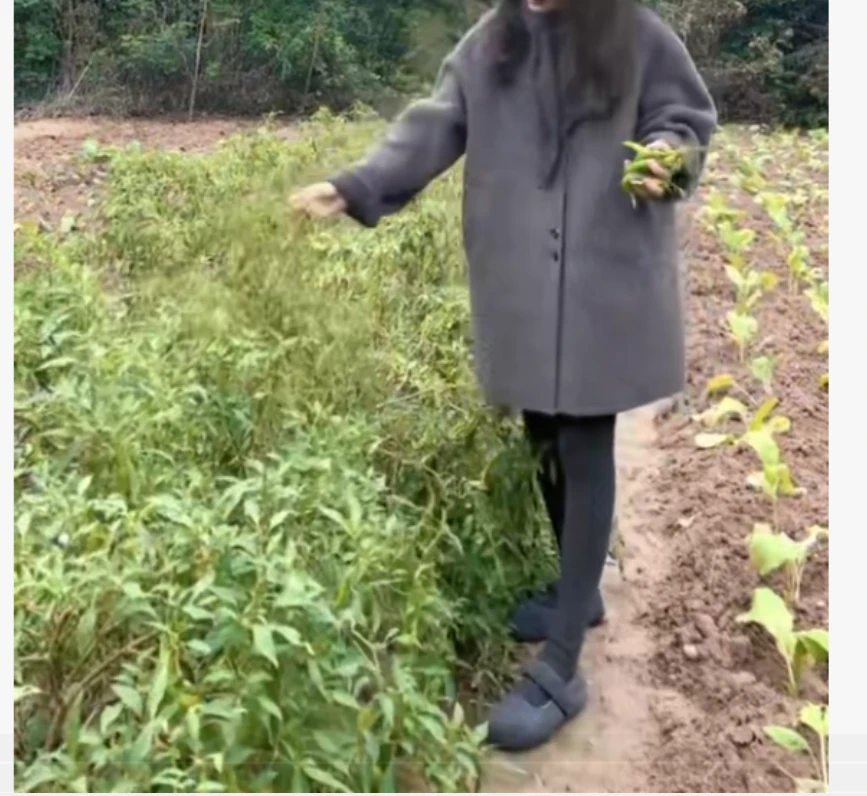 2025冬季时尚潮流百搭精品女装惜RU2322