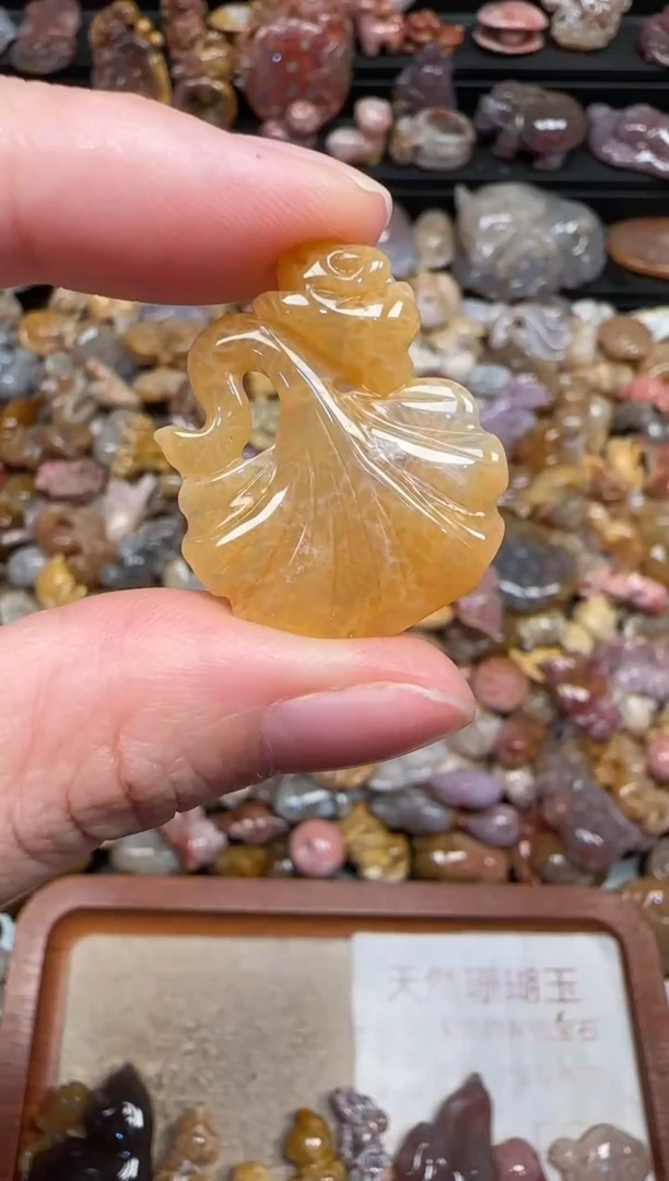 颈饰未镶嵌硅化珊瑚（珊瑚玉）329