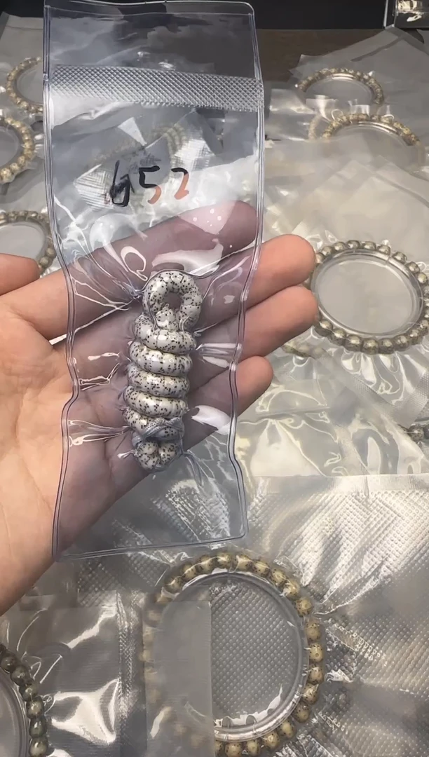 手串星月菩提652号大肠