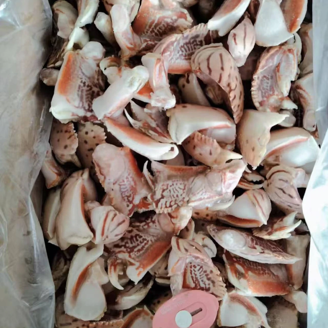 元宝蟹蟹脚肉质鲜美15个左右/斤
