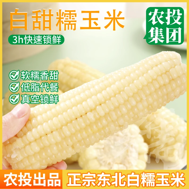 （试吃2根）25年新正宗东北白糯玉米带袋蒸煮甜糯粘真空包装10支