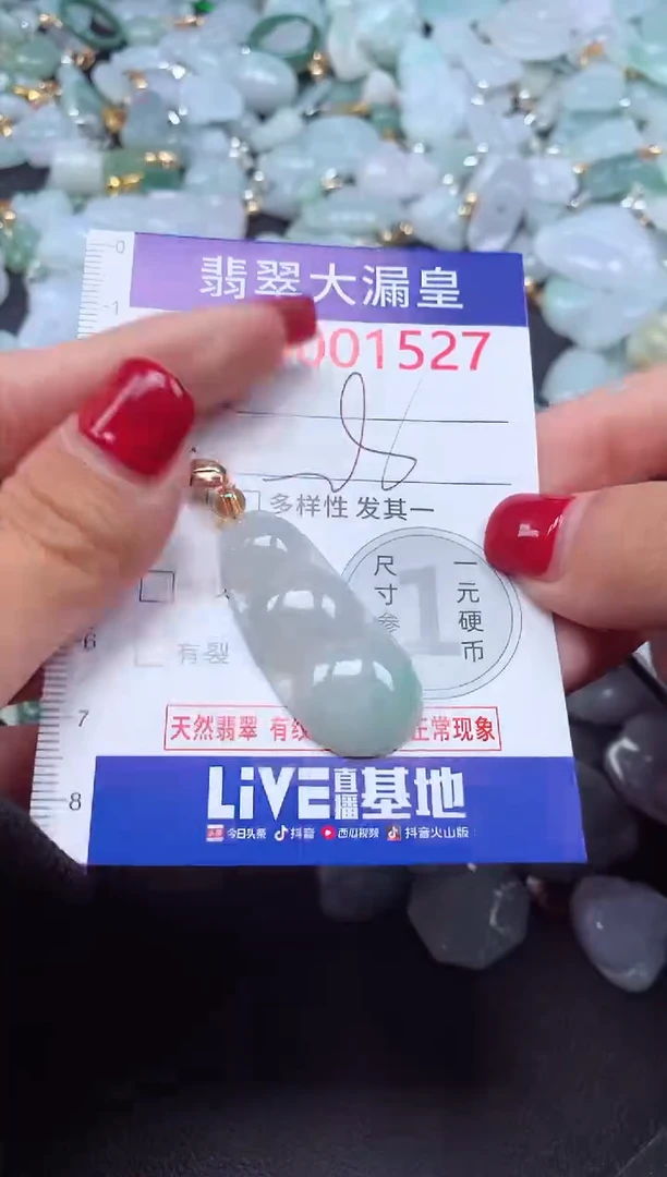 颈饰未镶嵌翡翠1527