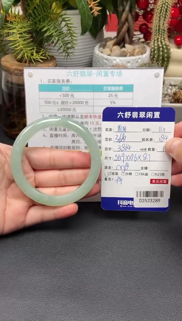 未镶嵌手镯翡翠雨**告D2523289