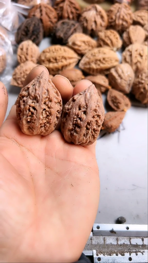 核桃东北野生大秋子3