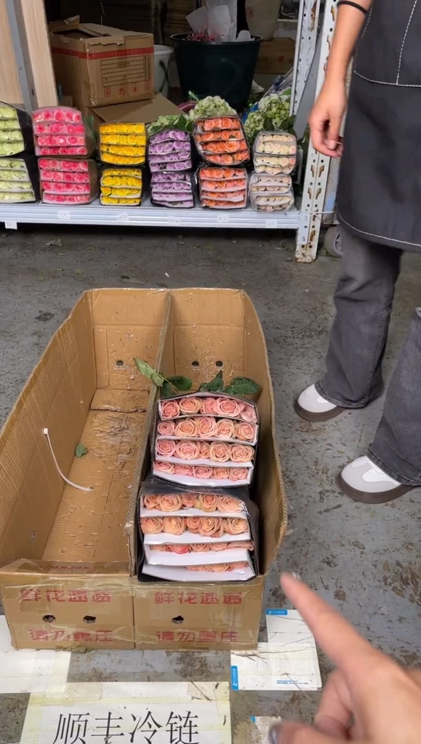 卡布10扎（共200枝）