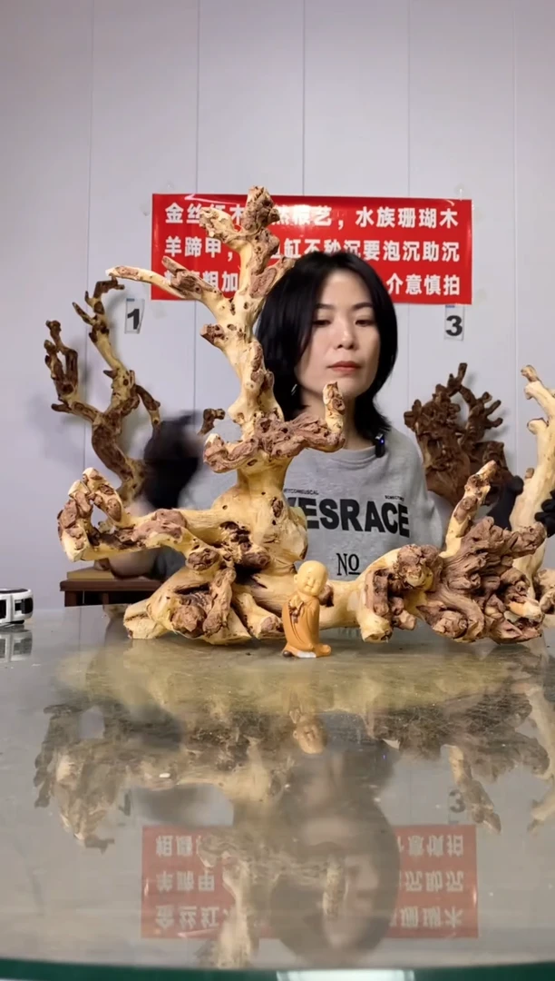 【闪购商品】木65金丝红木 羊蹄甲