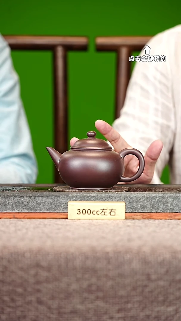 宜兴紫砂茶壶茶壶14
