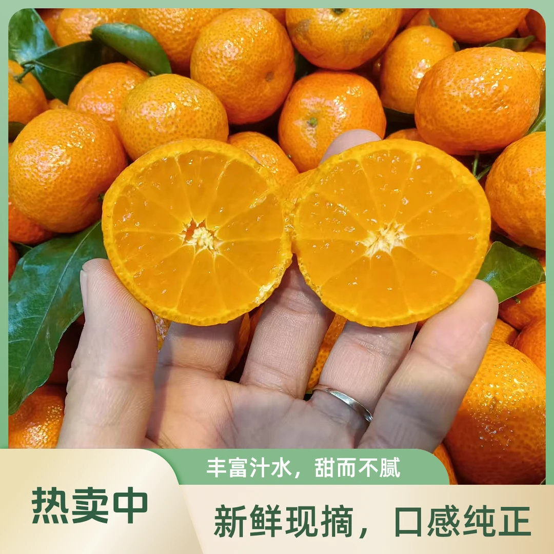 香甜可口砂糖橘6.99一斤
