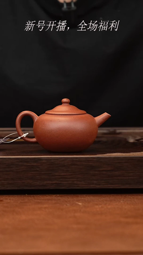 茶壶紫砂5y25单矿紫泥笠帽