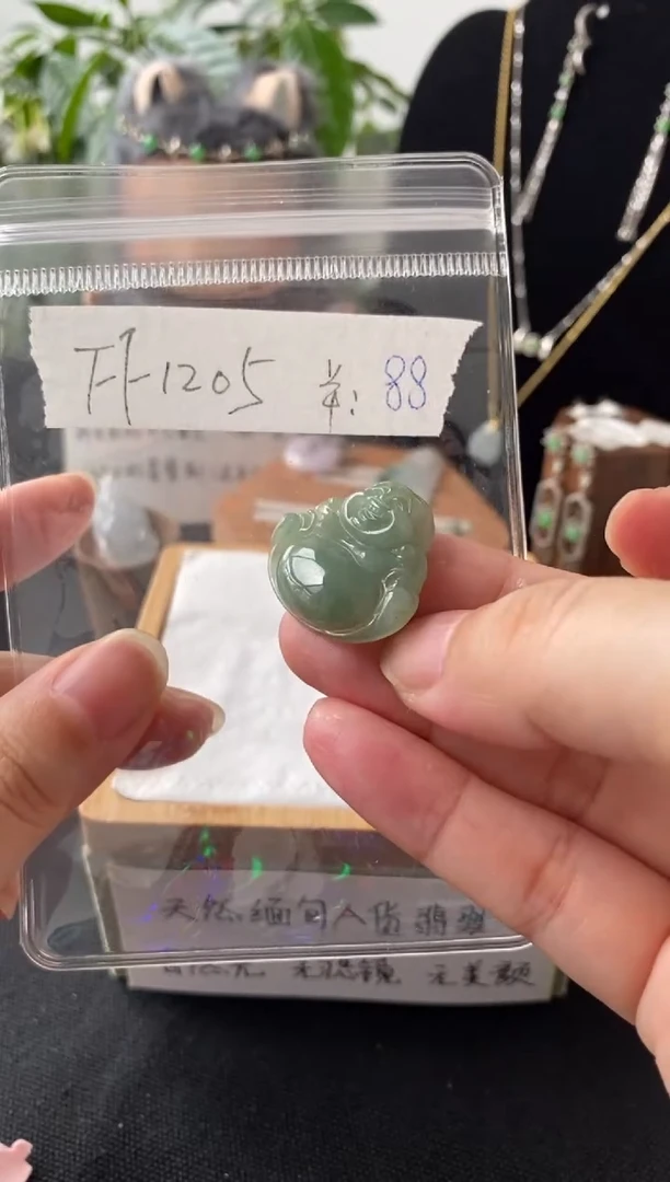 翡翠未镶嵌吊坠(不含链)FF1205