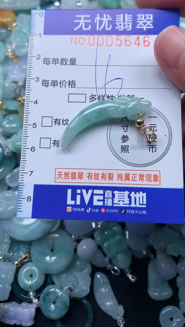 颈饰未镶嵌翡翠5646