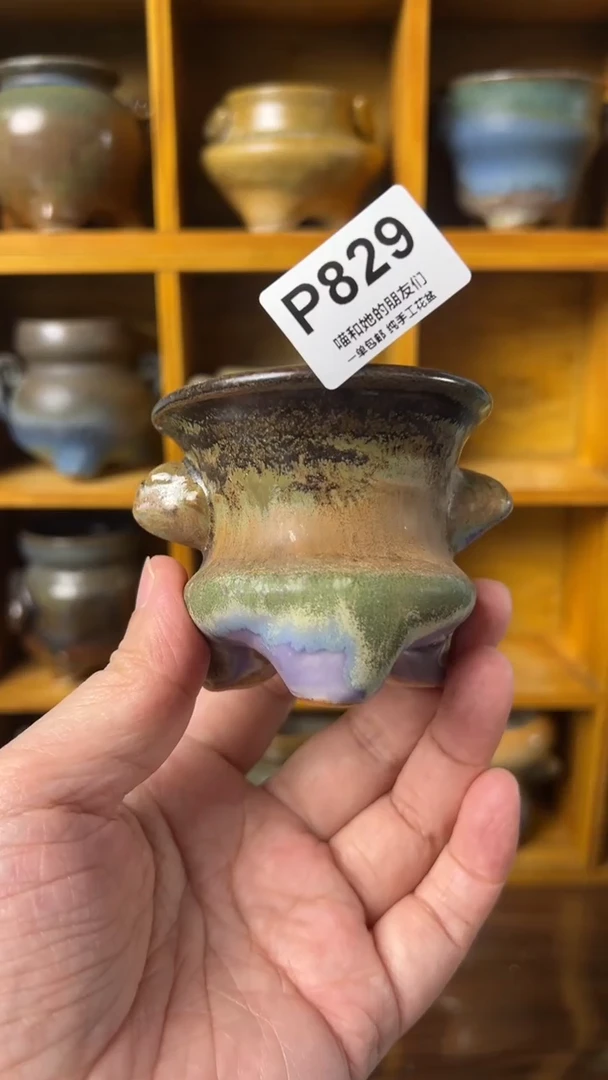 829 内口5.5【多肉花盆多肉盆】