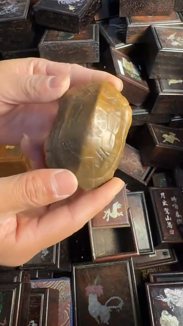 闪购商品链接29【龟壳】