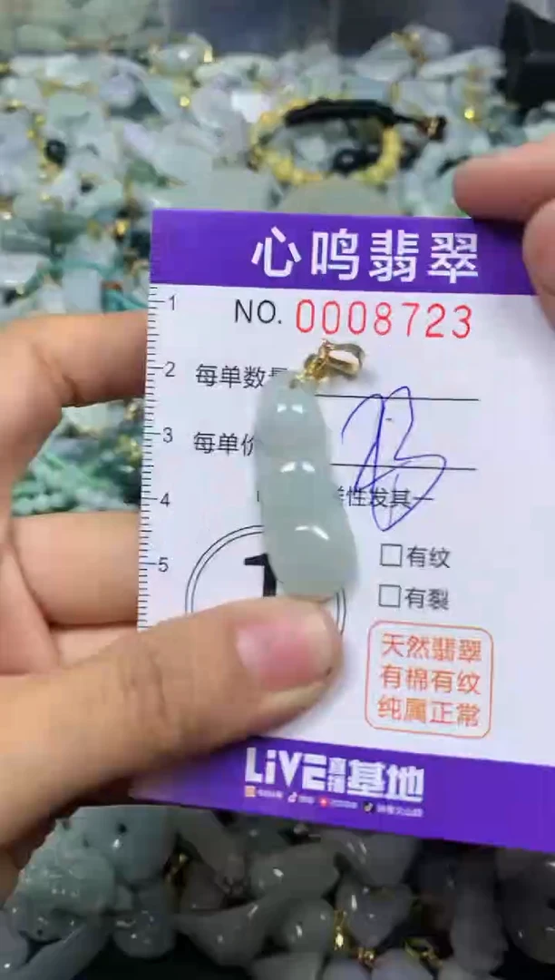 【闪购商品】翡翠颈饰未镶嵌闪购008723