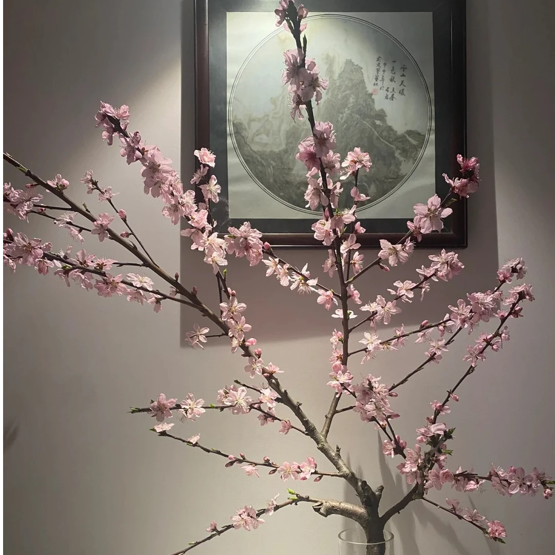 桃花 人间四月芳菲尽，山寺桃花始盛开
