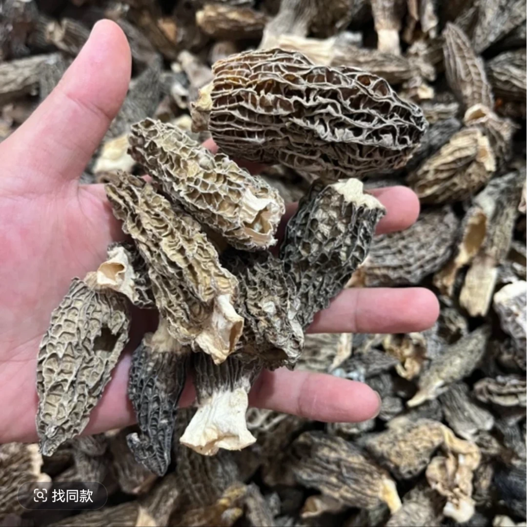 干羊肚菌-瑕疵破损菇-介意勿拍