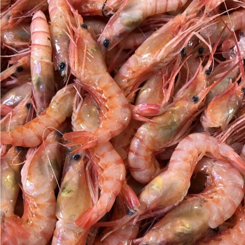 新鲜中红虾深海捕捞 3斤广东海陵岛发货40-50只/斤