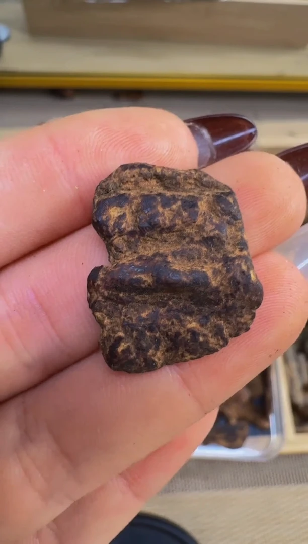 【闪购商品】沉香吊坠越南惠安红土