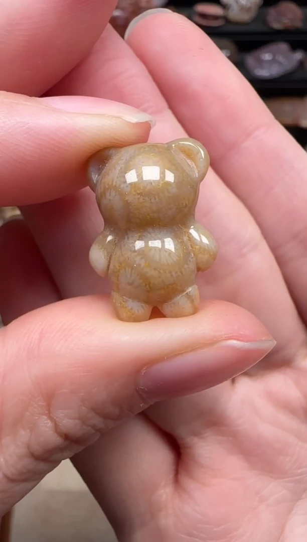 颈饰未镶嵌硅化珊瑚（珊瑚玉）708