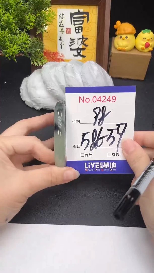 未镶嵌手镯翡翠4249