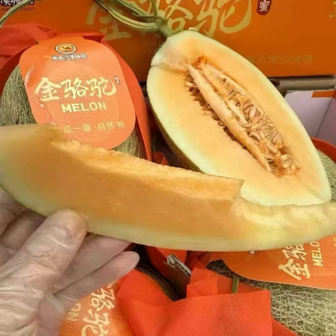 沙漠骆驼蜜瓜一个3斤左右