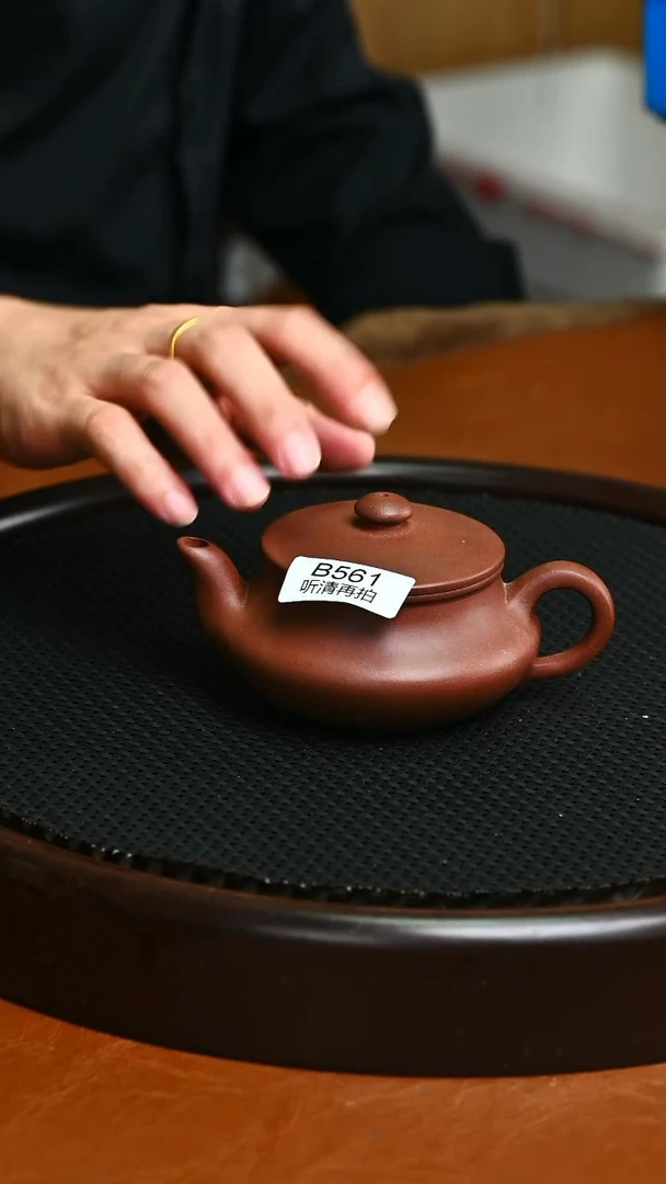 茶壶紫砂紫砂精品561