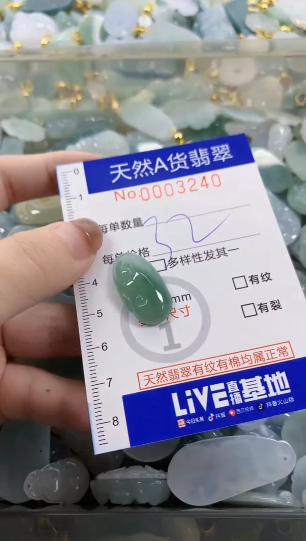 颈饰未镶嵌翡翠天然A货翡翠