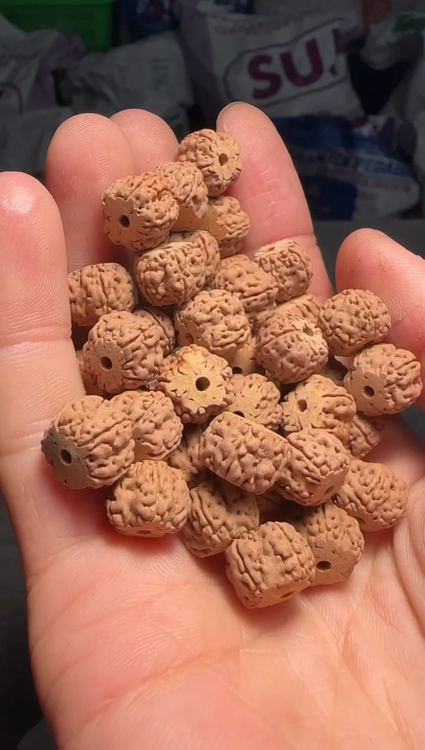 手串金刚菩提非全品龙切龙骨梅花散籽11-12mm一份一百颗