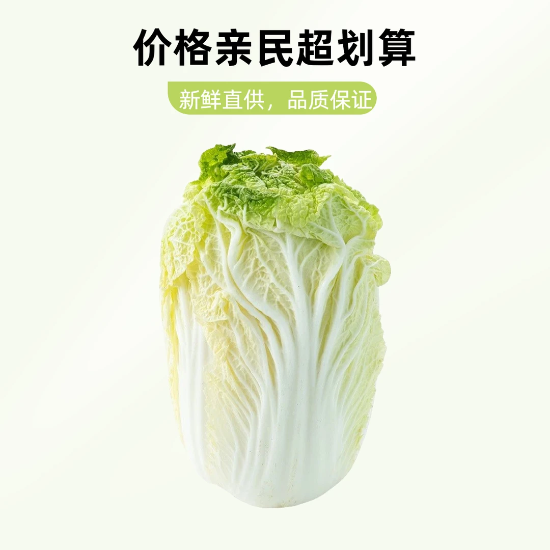大白菜2kg