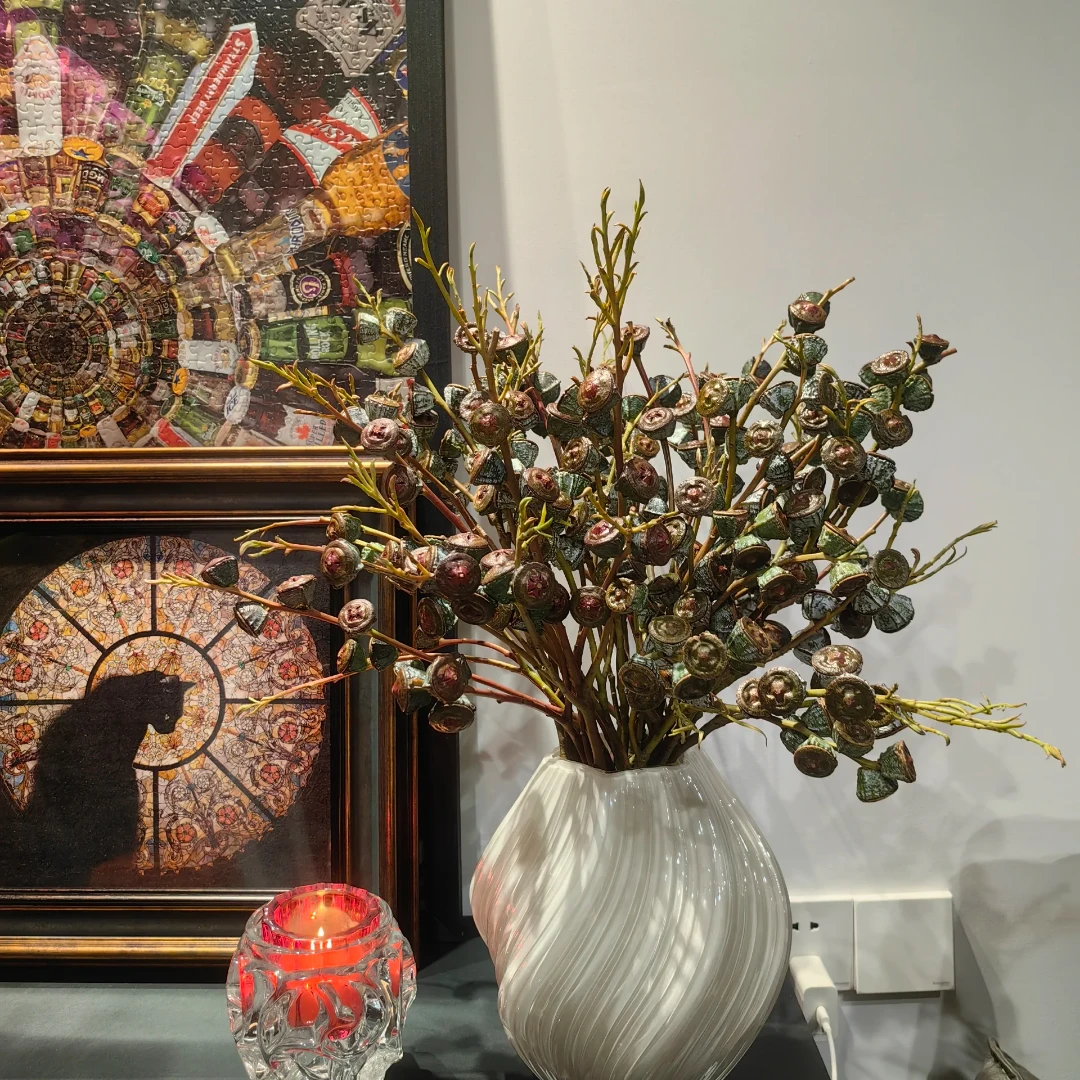 【钻石尤加利果】老果新鲜采摘做干花干果真花云南鲜花现采花材