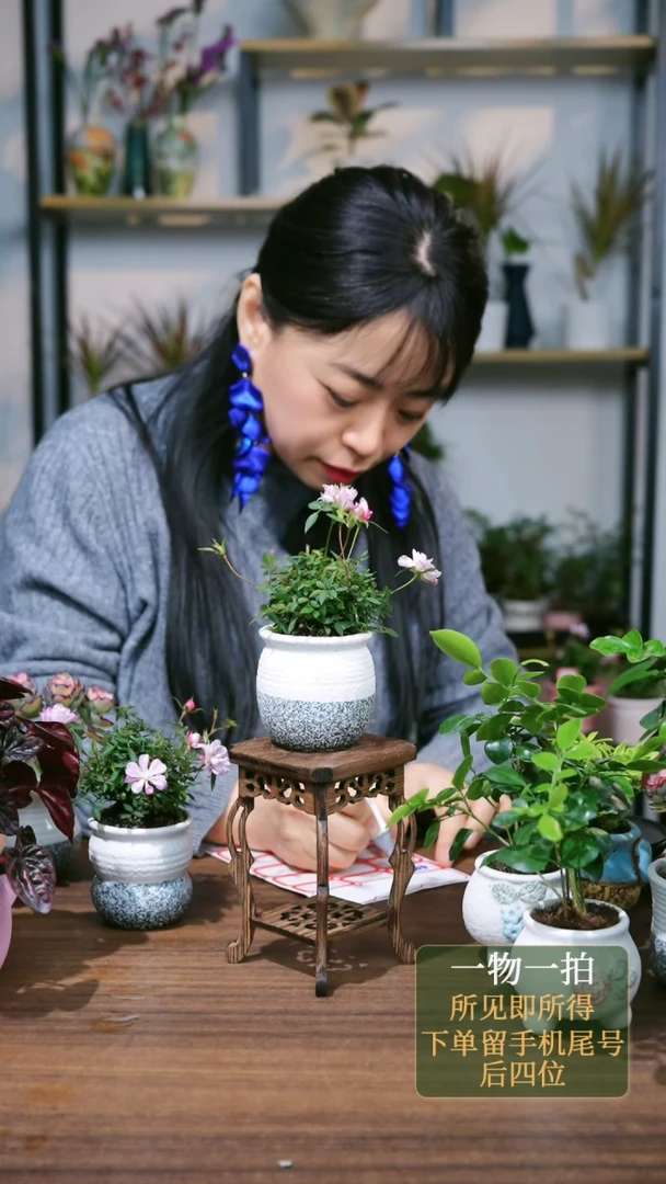 【闪购商品】4---4882姬乙女灰白