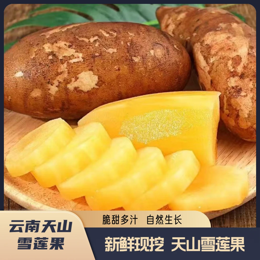 【亏本一万单】云南正宗黄心天山雪莲果现挖新鲜应急水果清甜脆爽A