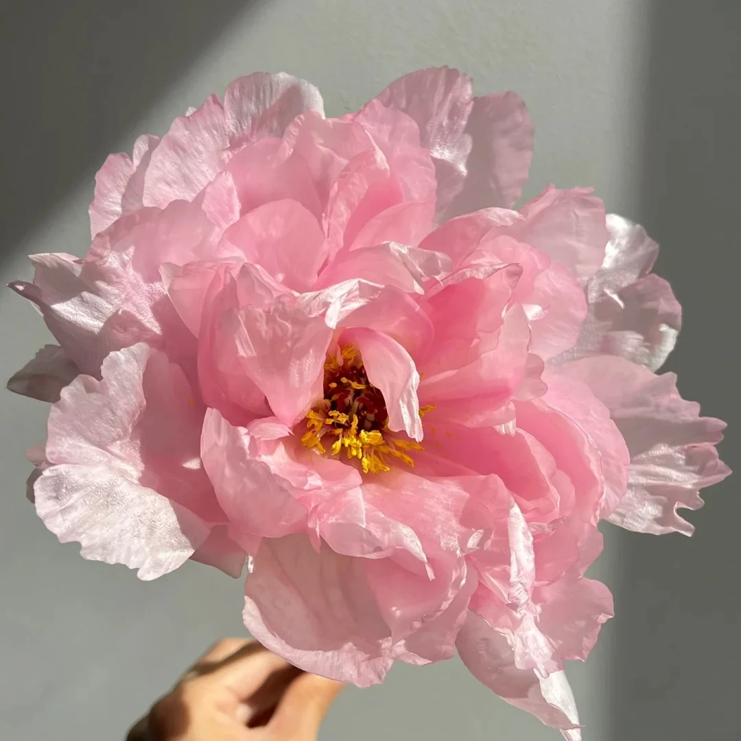 《吉野川》浪漫日系重瓣牡丹洛阳基地直发