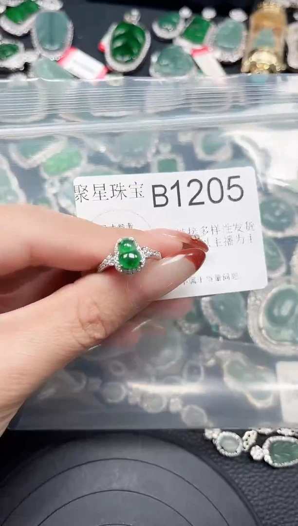 【闪购商品】翡翠颈饰未镶嵌赠皮绳1205
