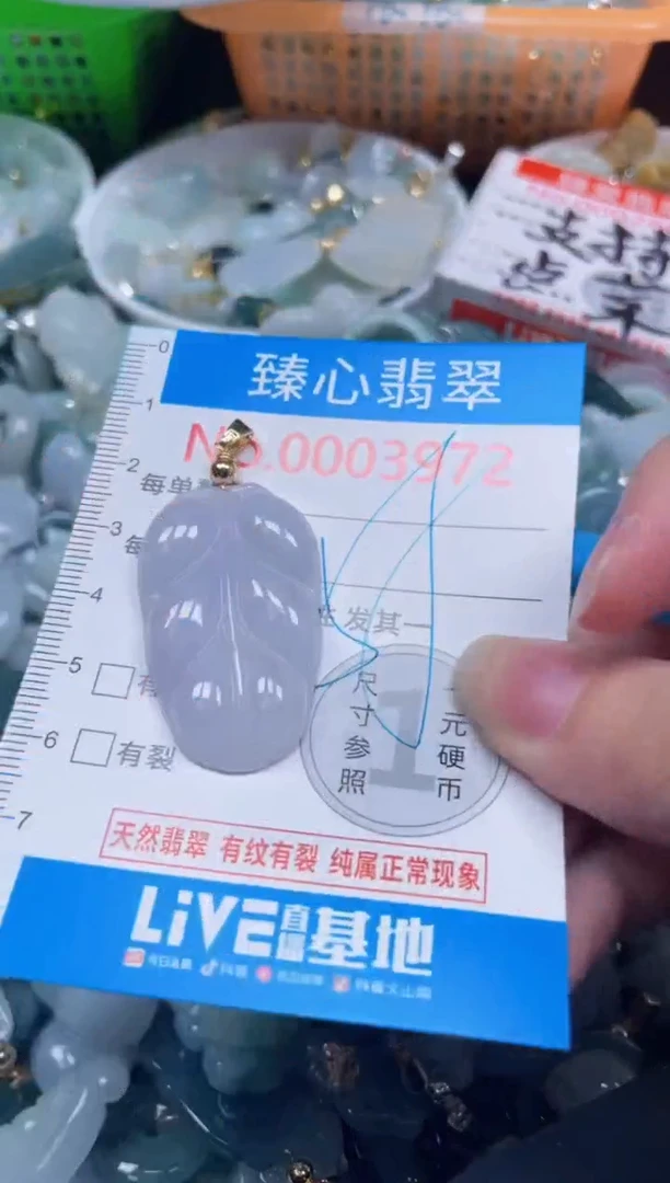 颈饰未镶嵌翡翠3972